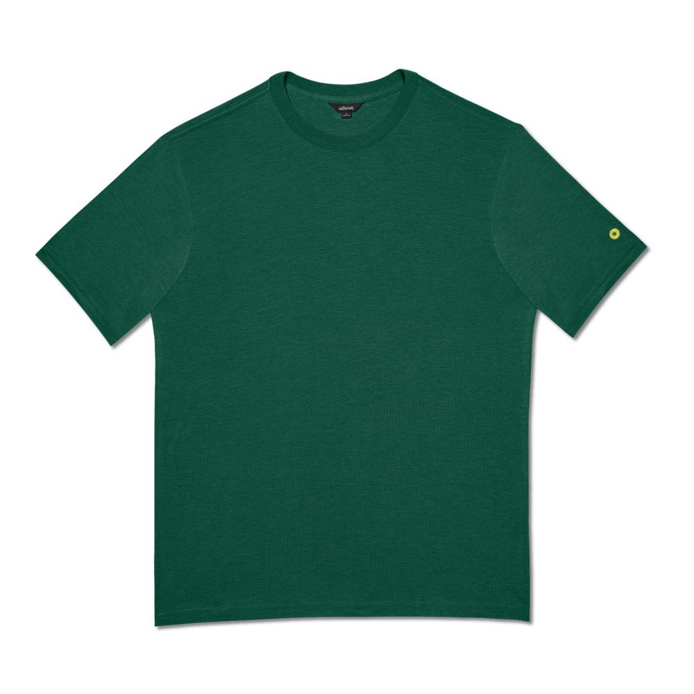 Allbirds Men\'s T-Shirt Green - TrinoXO™ - 34752QEXY